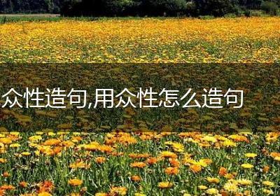 众性造句,用众性怎么造句