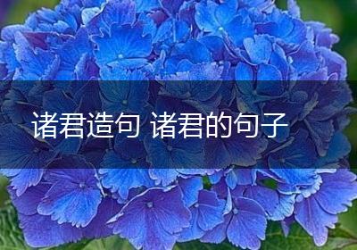 诸君造句 诸君的句子