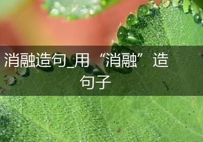 消融造句_用“消融”造句子