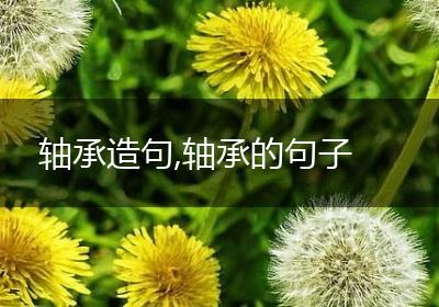 轴承造句,轴承的句子