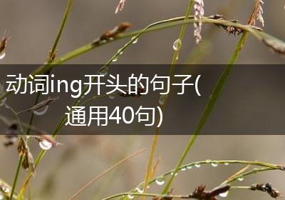 动词ing开头的句子(通用40句)