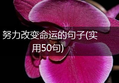 努力改变命运的句子(实用50句)