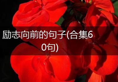 励志向前的句子(合集60句)