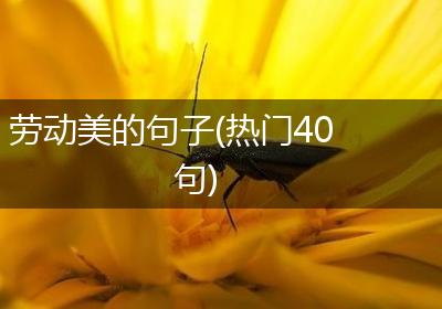 劳动美的句子(热门40句)