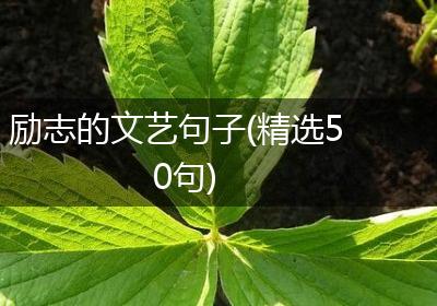 励志的文艺句子(精选50句)