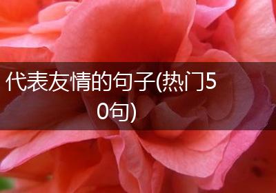 代表友情的句子(热门50句)