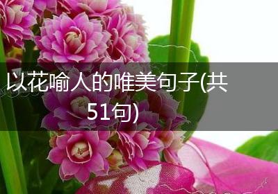 以花喻人的唯美句子(共51句)