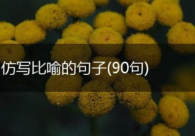 仿写比喻的句子(90句)