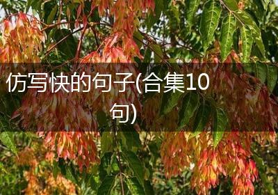 仿写快的句子(合集10句)