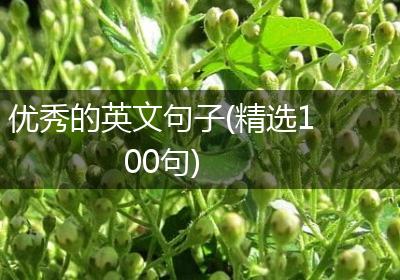 优秀的英文句子(精选100句)