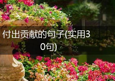 付出贡献的句子(实用30句)