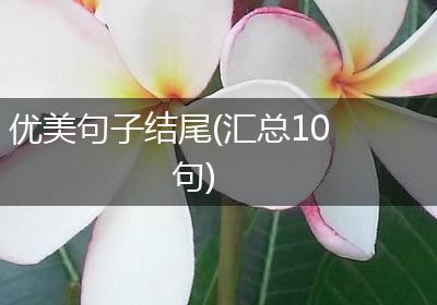 优美句子结尾(汇总10句)