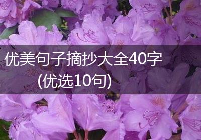 优美句子摘抄大全40字(优选10句)
