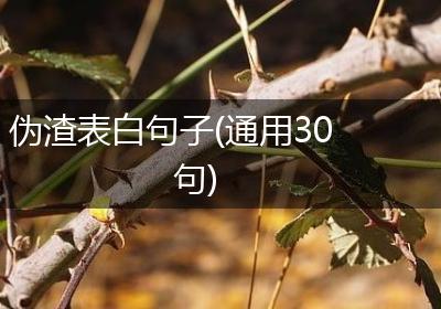 伪渣表白句子(通用30句)