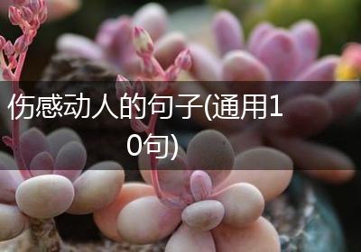 伤感动人的句子(通用10句)