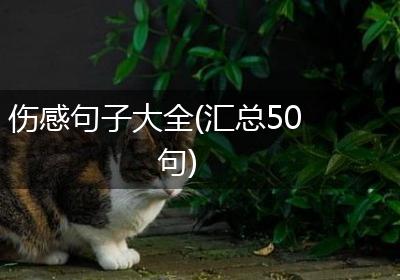 伤感句子大全(汇总50句)