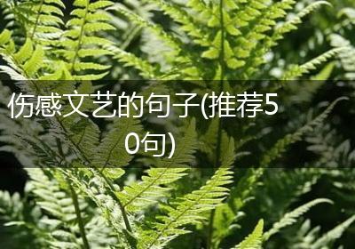 伤感文艺的句子(推荐50句)
