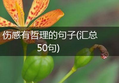伤感有哲理的句子(汇总50句)