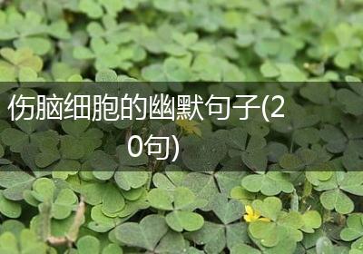 伤脑细胞的幽默句子(20句)