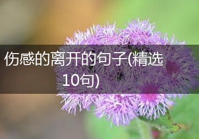 伤感的离开的句子(精选10句)