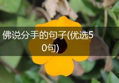 佛说分手的句子(优选50句)