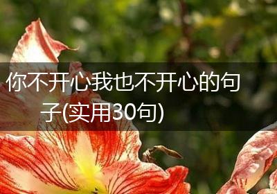 你不开心我也不开心的句子(实用30句)