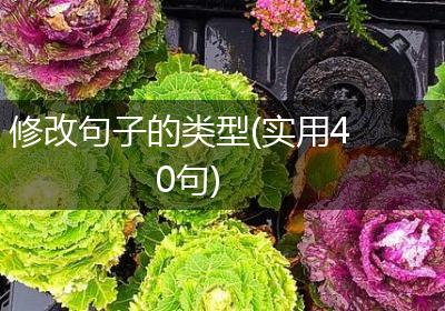 修改句子的类型(实用40句)