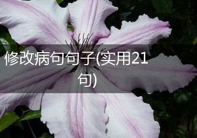 修改病句句子(实用21句)