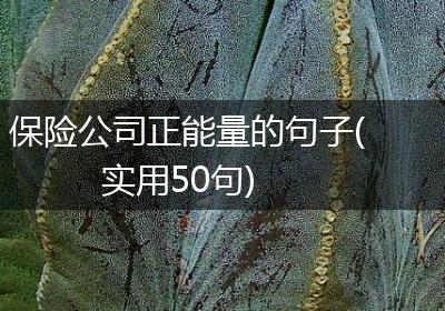 保险公司正能量的句子(实用50句)