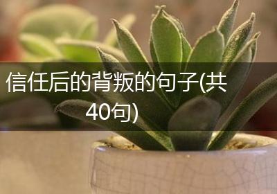 信任后的背叛的句子(共40句)