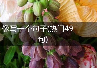 像写一个句子(热门49句)