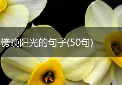 傍晚阳光的句子(50句)