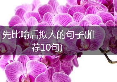 先比喻后拟人的句子(推荐10句)