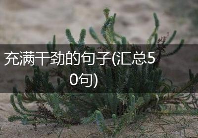 充满干劲的句子(汇总50句)