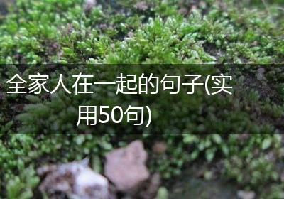 全家人在一起的句子(实用50句)