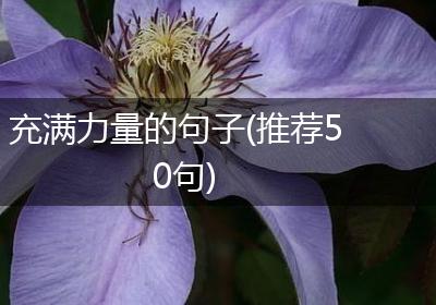 充满力量的句子(推荐50句)