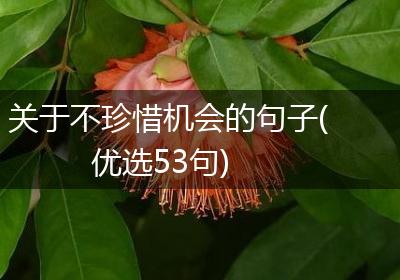 关于不珍惜机会的句子(优选53句)