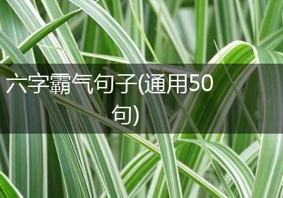 六字霸气句子(通用50句)