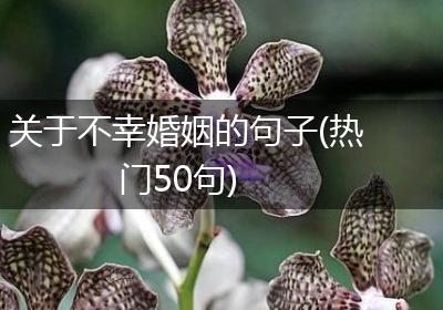 关于不幸婚姻的句子(热门50句)