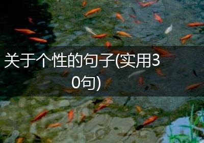 关于个性的句子(实用30句)