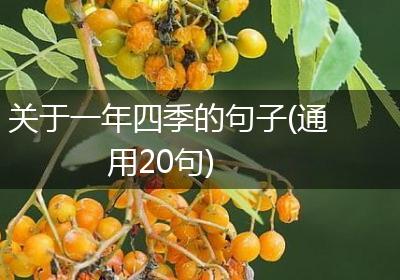关于一年四季的句子(通用20句)