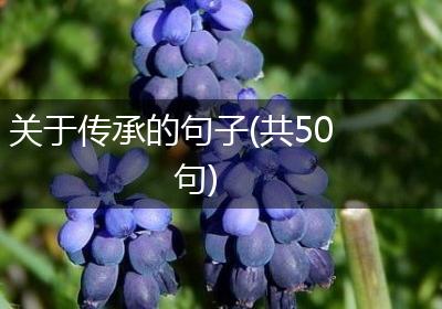 关于传承的句子(共50句)