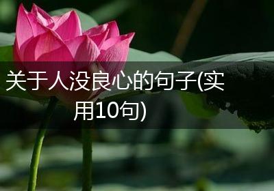 关于人没良心的句子(实用10句)