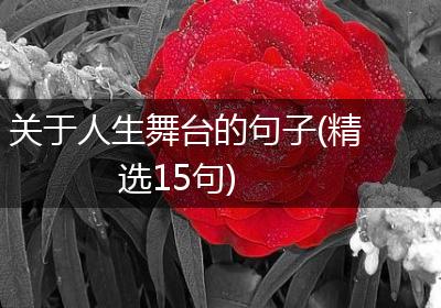关于人生舞台的句子(精选15句)