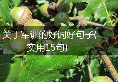 关于军训的好词好句子(实用15句)