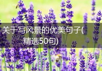 关于写风景的优美句子(精选50句)