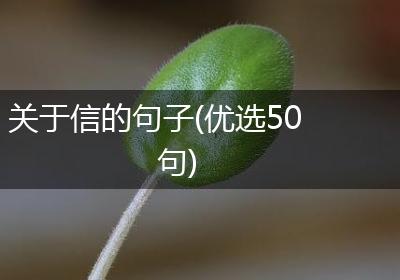 关于信的句子(优选50句)