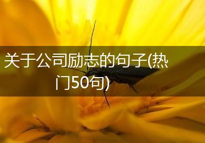 关于公司励志的句子(热门50句)