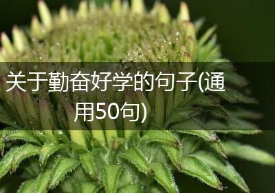关于勤奋好学的句子(通用50句)