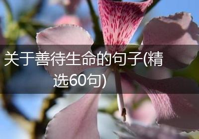 关于善待生命的句子(精选60句)